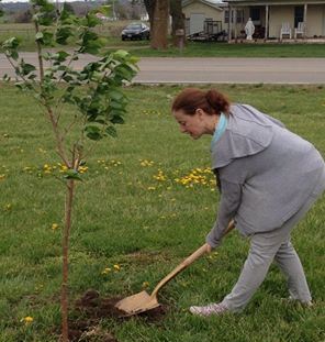 Kami planting